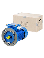 Электродвигатель АИР 100L4 4 кВт 1500 об/мин 3081 TDM ELECTRIC